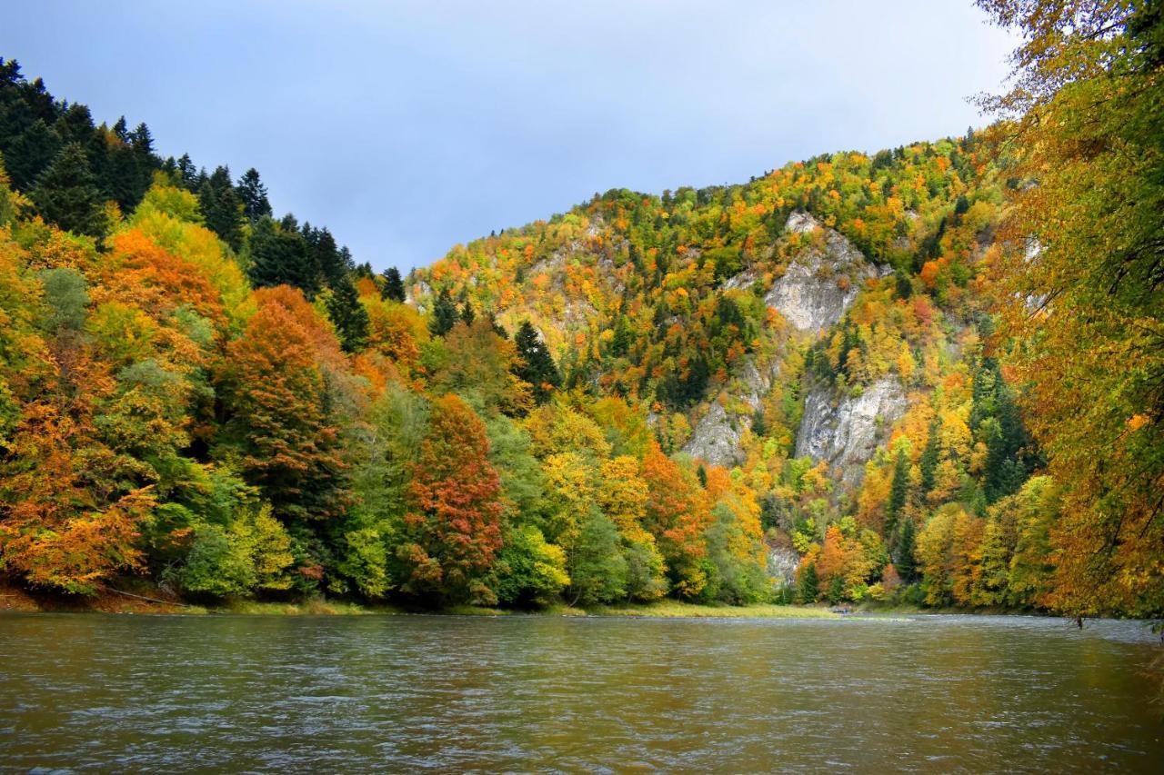 Agroturystyka Chmiel Sromowce Wyzne Exterior foto