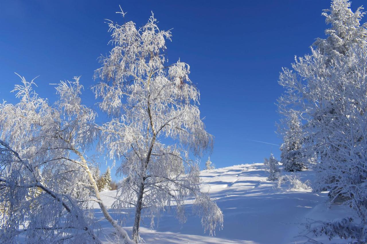 Agroturystyka Chmiel Sromowce Wyzne Exterior foto